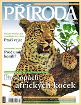 Příroda