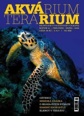 Akvárium Terárium