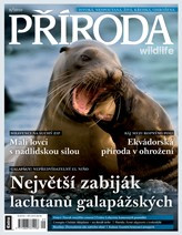 Příroda
