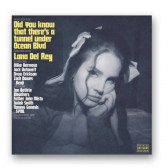 CD Lana Del Rey : Did you know that there´s a tunnel under Ocean Blvd v hodnotě 369 Kč