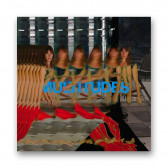 CD Feist : Multitudes v hodnotě 389 Kč