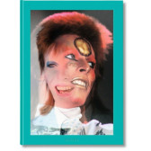 Luxusní publikace The rise of DAVID BOWIE