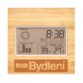 Meteostanice s bambusovým krytem a logem