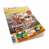 Speciál Receptář Podzim 3/2025 v hodnotě 39.90 Kč