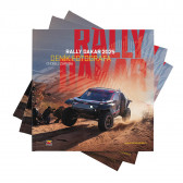 Kniha Rally Dakar - Ondřej Záruba