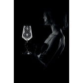 Sklenice na červené víno EVPAS Glory – Black / sada 2 ks v hodnotě 1 698 Kč