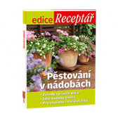 Jahody v hodnotě 99 Kč