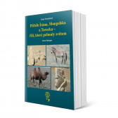 Příběh Íránu, Mongolska a Turecka - říší, které pohnuly světem v hodnotě 449 Kč