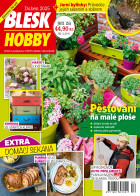 Blesk Hobby