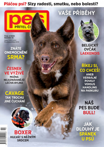 Pes přítel člověka
