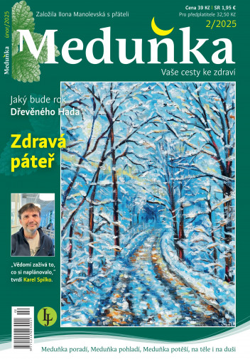 Meduňka