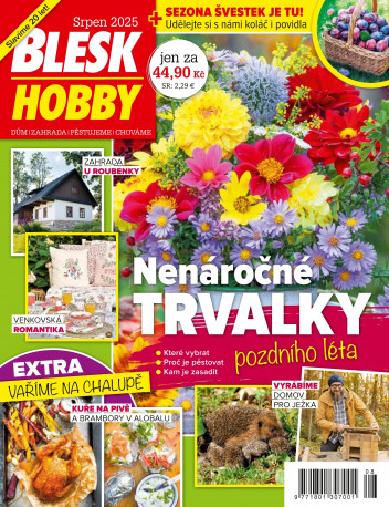 Blesk Hobby