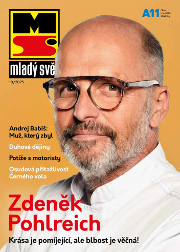 Mladý svět