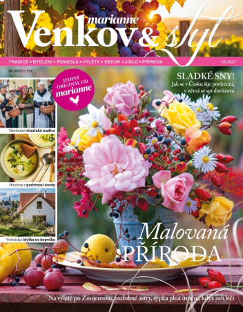 Marianne Venkov & Styl