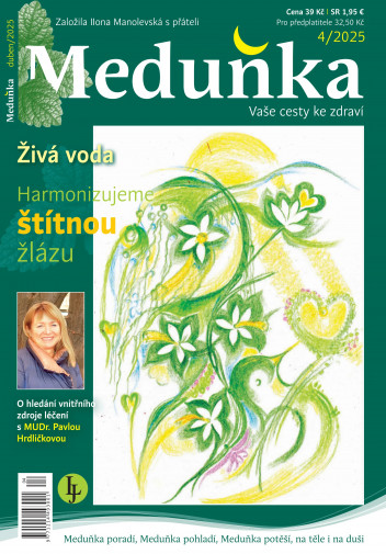 Meduňka