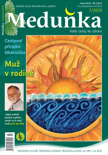 Meduňka