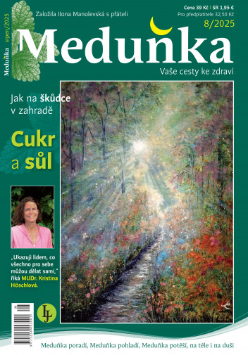Meduňka