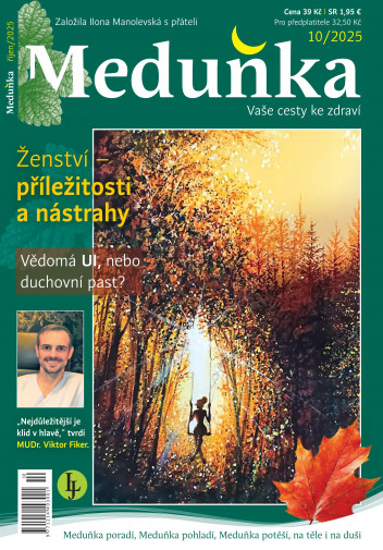 Meduňka