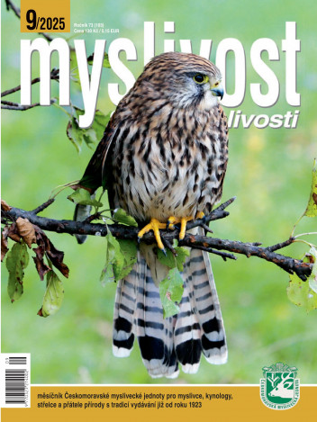 Myslivost