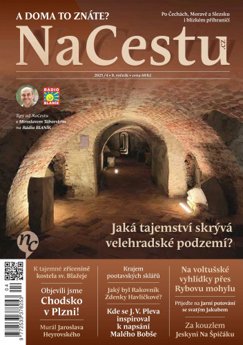 NaCestu
