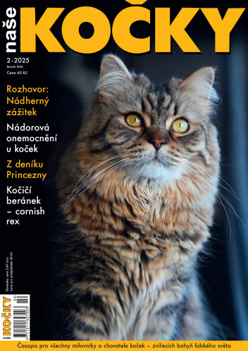 Naše kočky