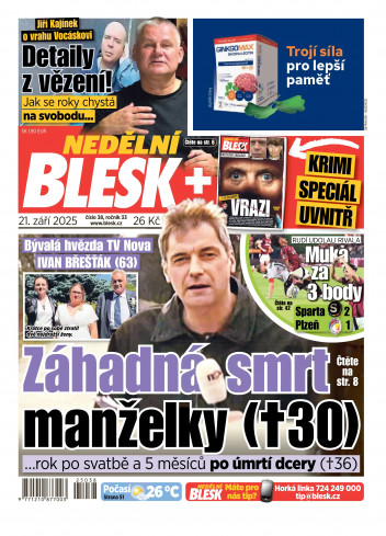 Nedělní Blesk