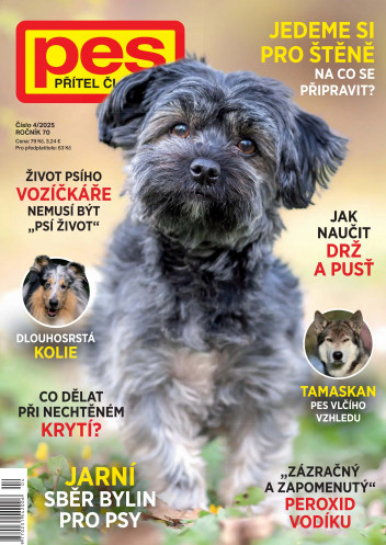 Pes přítel člověka