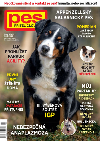 Pes přítel člověka