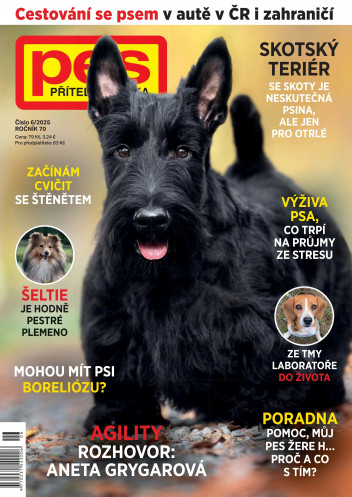 Pes přítel člověka