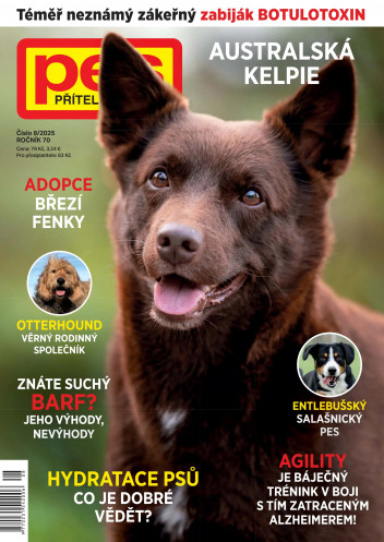 Pes přítel člověka