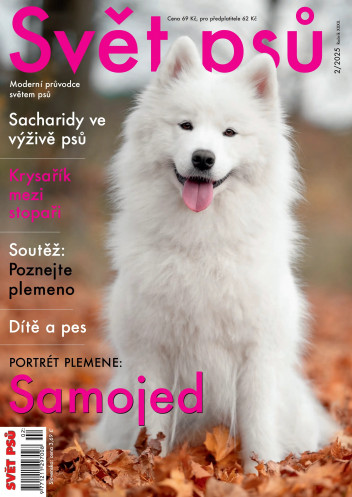 Svět psů
