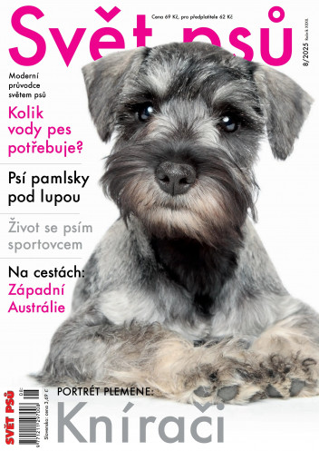 Svět psů