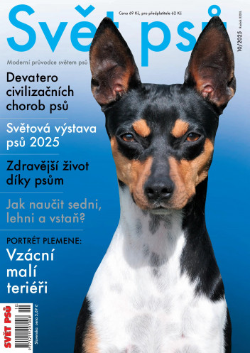 Svět psů