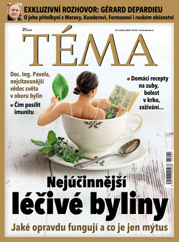 TÉMA