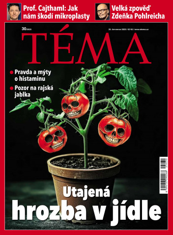 TÉMA