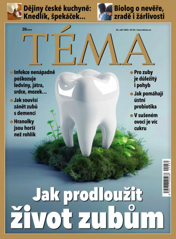 TÉMA