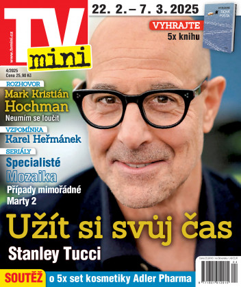 TV mini