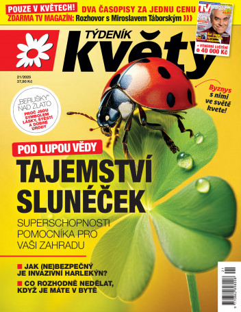 Týdeník Květy