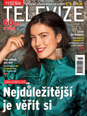 Týdeník televize