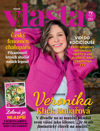 Vlasta