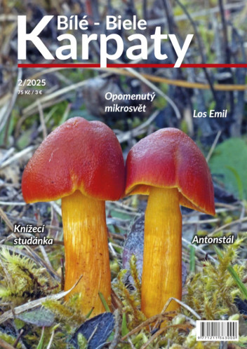 Bílé - Biele Karpaty