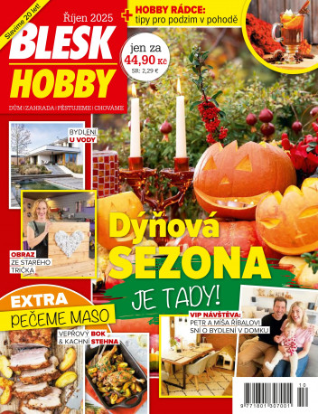 Blesk Hobby