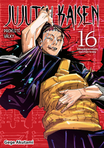 Jujutsu Kaisen