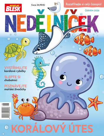 Nedělníček
