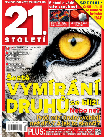 21.století