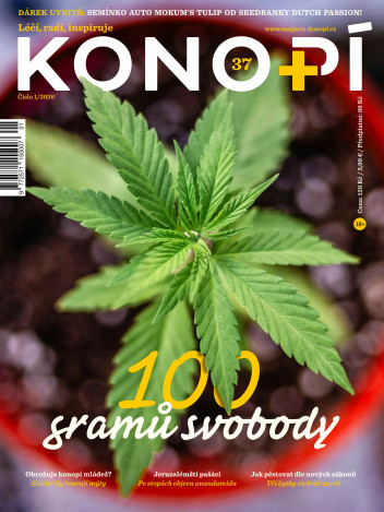 Konopí
