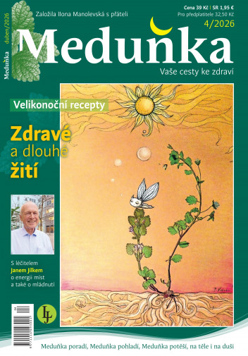 Meduňka