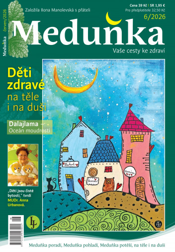 Meduňka