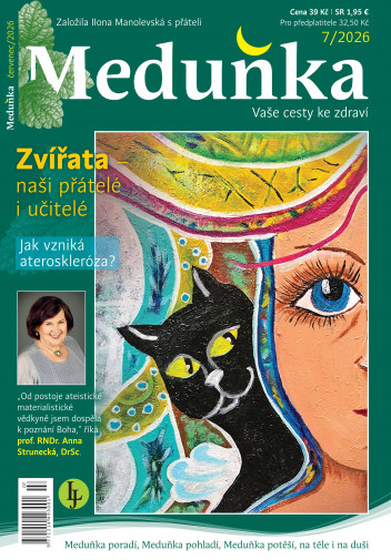 Meduňka
