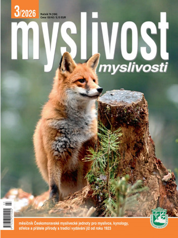 Myslivost